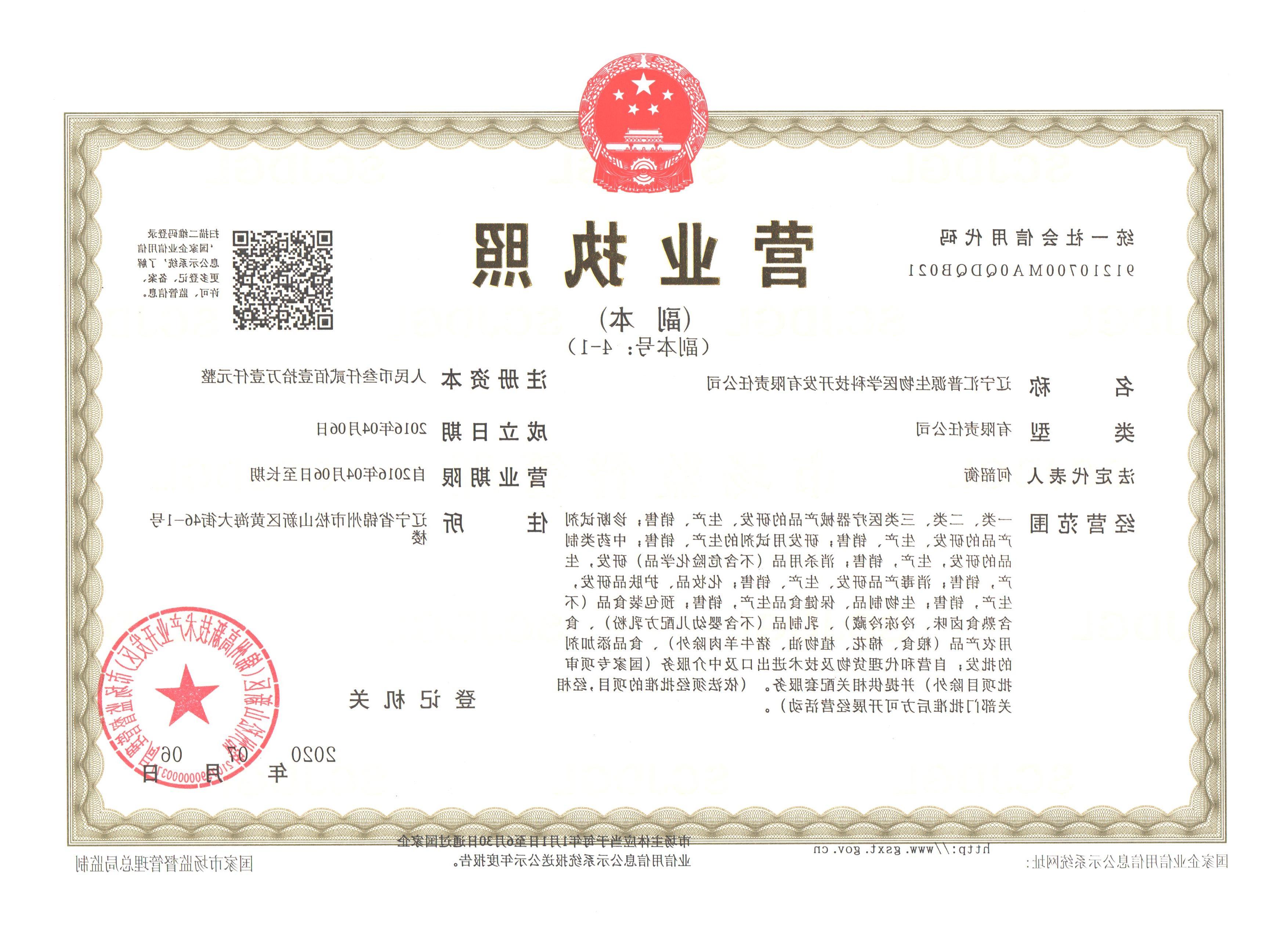 Company business license